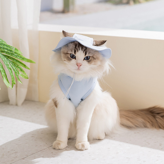 웨이비데이즈 반려동물 쿨링 티셔츠 + 모자 세트 W265-0127, 블루, 1세트