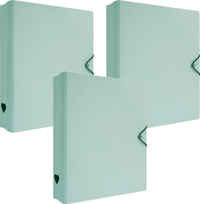 珠友文化 A4 D型夾集卡冊 有洞款 4孔, 綠色, 3個