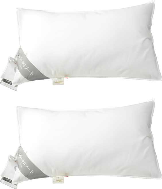 理享家 日本伊豆飯店指定枕頭 好好睡枕芯 羽絨枕頭, 白色, 2個