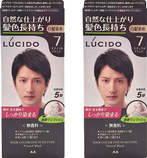 LUCIDO 倫士度 按壓式染髮霜 自然黑 快速上色, 2組