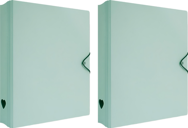 珠友文化 A4 D型夾集卡冊 有洞款 4孔, 綠色, 2個