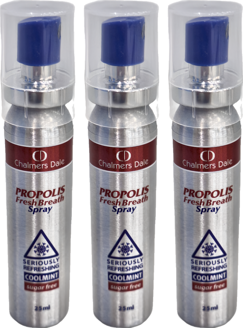 Chalmers Dale 嘉仕德 蜂膠口腔噴劑, 25ml, 3瓶
