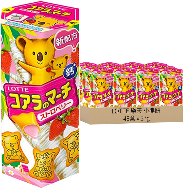 LOTTE 樂天 小熊餅 草莓風味 6盒, 37g, 48盒