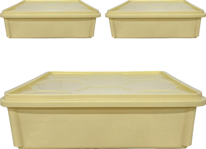 AHA 一法 小發酵箱 附蓋 41.5 x 31.5 x 12.5cm 米色, 容器 + 蓋子, 3組