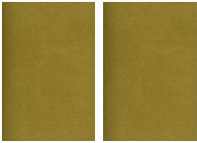 IWI 蒙恬 銀標和紙筆記本 日本阿波和紙封面 100克厚實不透底, 山鳩, 2本