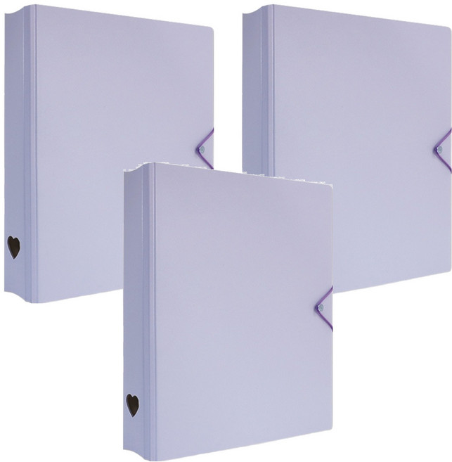 珠友文化 A4 D型夾集卡冊 有洞款 4孔, 紫色, 3個