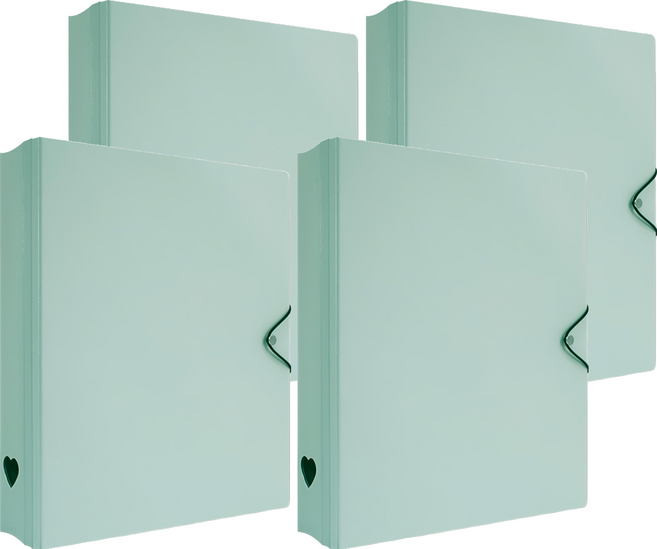 珠友文化 A4 D型夾集卡冊 有洞款 4孔, 綠色, 4個
