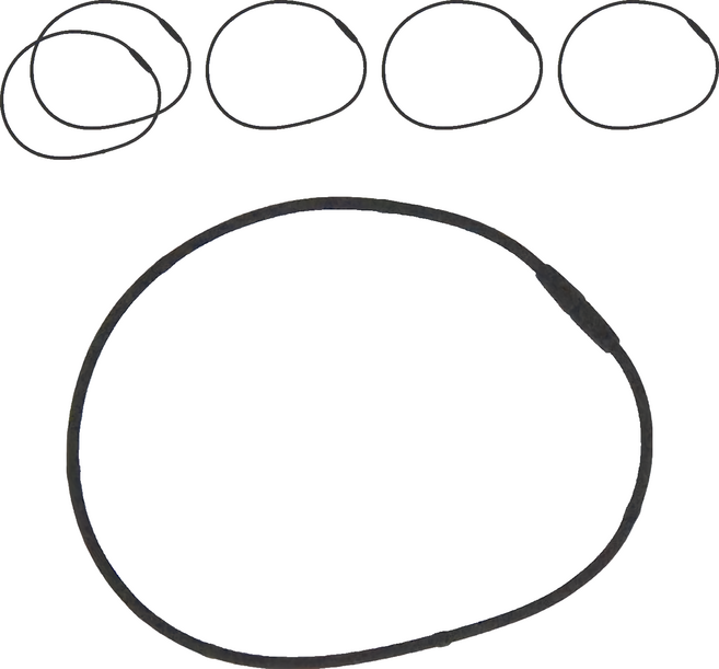 MAG MAX 200 首肩磁石項圈 黑色 50cm 永久磁石, 6條