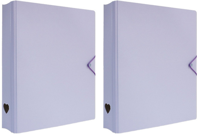 珠友文化 A4 D型夾集卡冊 有洞款 4孔, 紫色, 2個