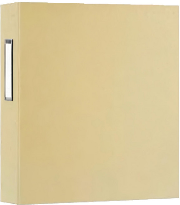 珠友文化 A4 D型檔案夾 3孔, 奶茶, 1本