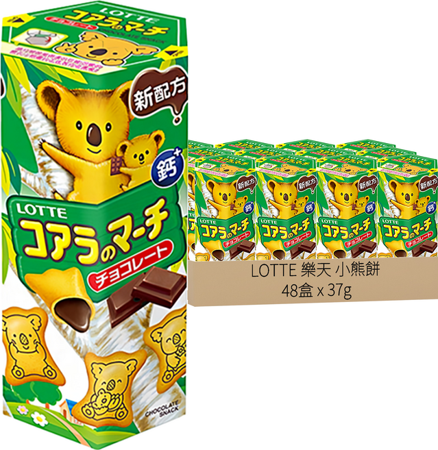 LOTTE 樂天 小熊餅 巧克力風味, 37g, 48盒