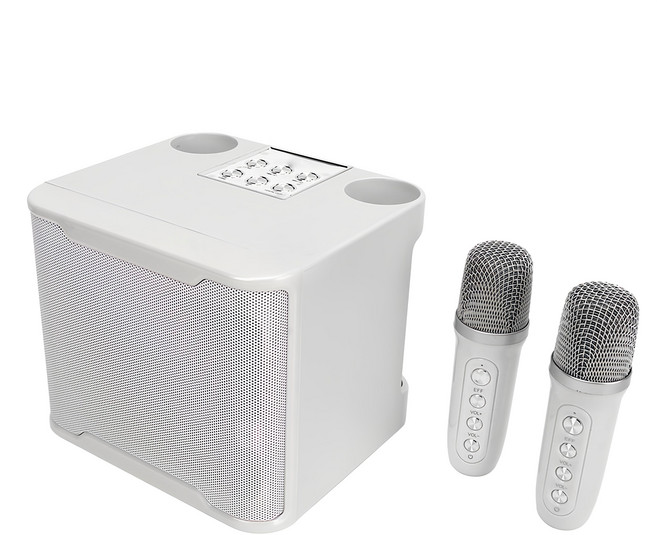 aibo 雙人對唱 行動KTV 藍牙喇叭無線麥克風組 原廠保固, 白色, LA-BT-LX22-W
