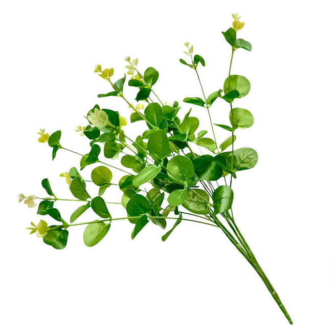 FLORAL M 花藝 仿真尤加利葉花材 居家裝飾, 1個, 綠色
