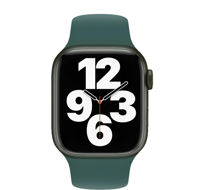 OMG Apple Watch 10 純色矽膠錶帶 42mm, 松針綠, 1個