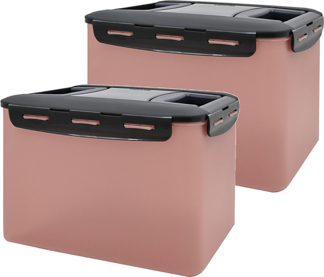 LocknLock 樂扣樂扣 新款泡菜專用密封保鮮盒 粉色, 10L, 2個