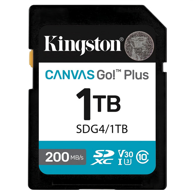 Kingston 金士頓 Canvas Go Plus SDXC記憶卡 SDG4/1TB, 1TB, 1個
