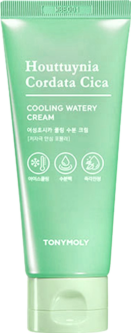 TONYMOLY 魚腥草積雪草冰涼水凝霜 保濕舒緩, 90ml, 1條