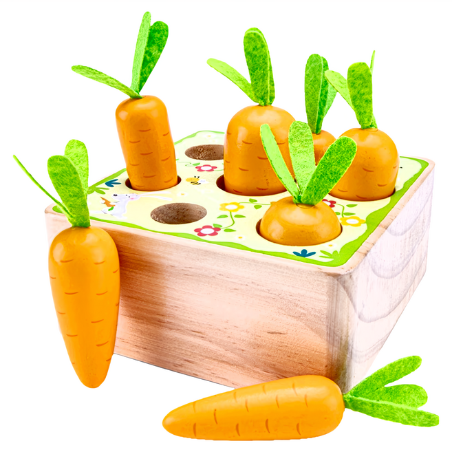 woet 寶寶認知學習拔蘿蔔玩具, 橘色 + 綠色, 1組
