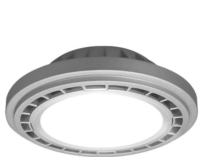 DANCELIGHT 舞光 AR111廣角基礎光源模組 質感銀 14W 白光 5700K, D-ARFL14DR5, 1個