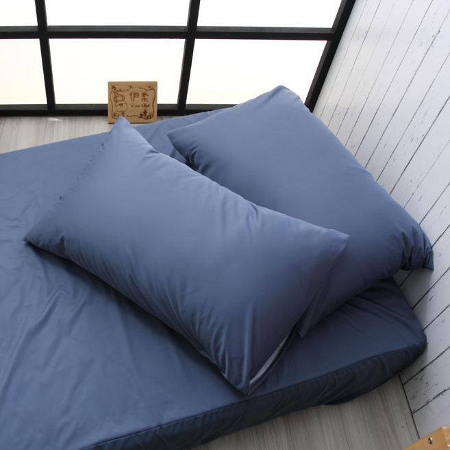 E-ROU 伊柔寢飾 德國魯道夫銀離子抗菌枕頭套