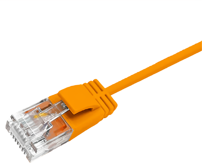 POLYWELL 寶利威爾 CAT6 極細高速網路線 RJ45福祿克認證 PW15-W58-S020, 橘色, 2m, 1條