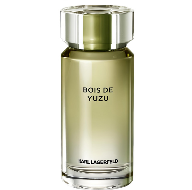 KARL LAGERFELD 卡爾 台灣公司貨 綠意香橙木男性淡香水, 1瓶, 100ml