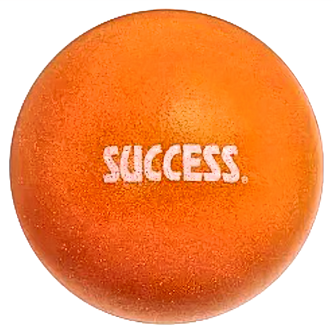 SUCCESS 成功 高彈靜音球 S4587-O 7吋, 橘色, 1個