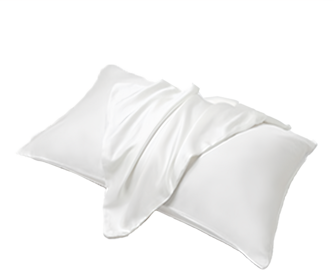 A-nice 雅妮詩 100%天絲 60支信封枕套