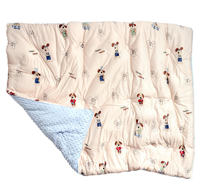 EmBrace 英柏絲 兒童荳荳絨雲朵被, 滑板汪汪