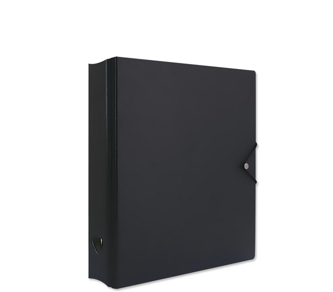 珠友文化 A4 D型夾集卡冊 有洞款 4孔, 黑色, 1個