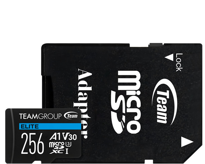 TEAMGROUP 十銓 ELITE MicroSDXC UHS-I U3 A1 4K專用高速記憶卡 含轉卡, 256GB, 1個