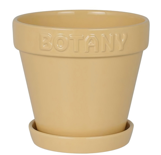 DULTON 植物學壺3 G21-0395XS/BE 花盆 簡約設計 適用於多肉植物、香草或小型盆栽, 米色, 1個