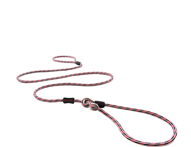 EZYDOG 路卡2合一牽繩, 紅色, 1條