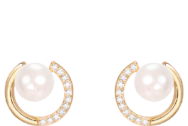 ROCiO 無耳洞耳夾式耳環 50g