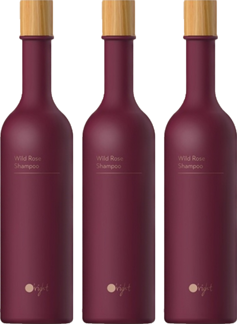 O'right 歐萊德 曠野玫瑰洗髮精 含玫瑰菁萃 輕盈保濕配方, 400ml, 3瓶