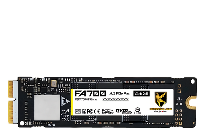 AITC 艾格 M.2 Mac 2280 PCIe NVMe SSD 固態硬碟, FA700, 256GB