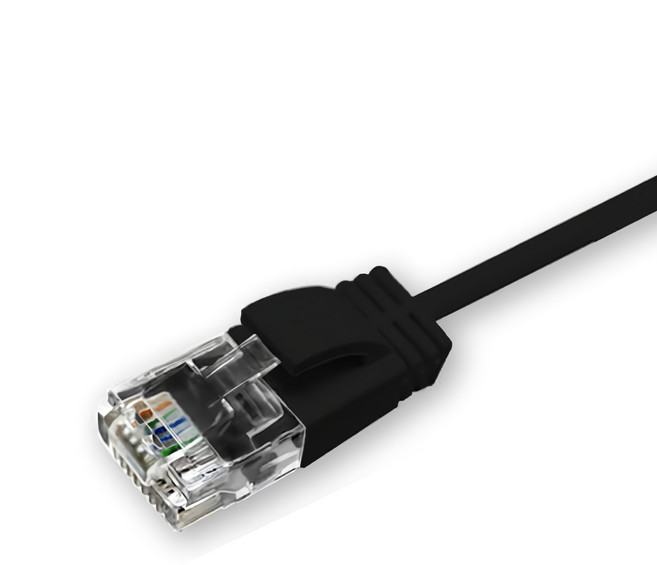 POLYWELL 寶利威爾 CAT6 極細高速網路線 RJ45 福祿克認證 PW15-W58-U100, 黑色, 10m, 1條