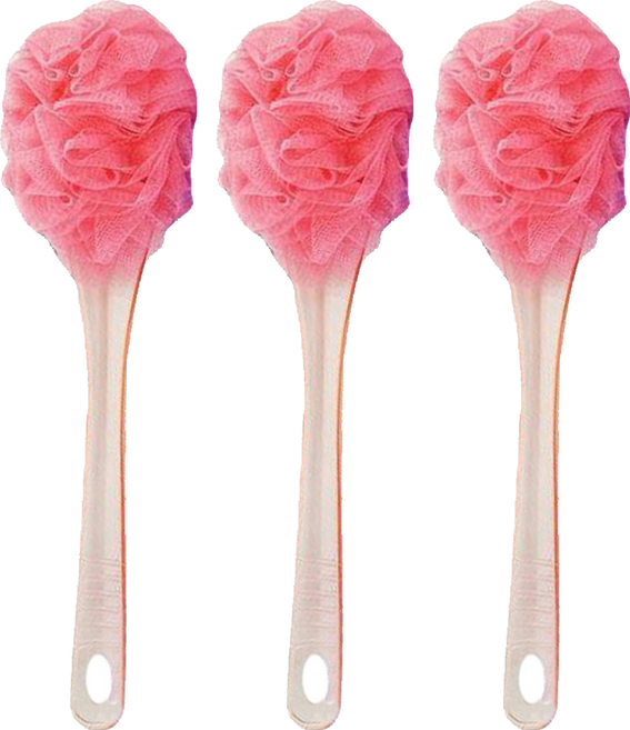 名仕 橢圓沐浴刷, 3支, 1入