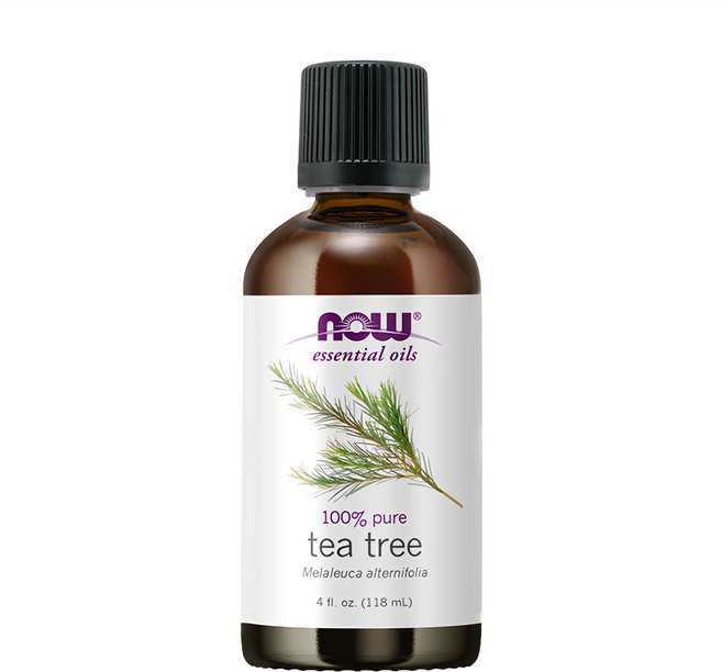NOW Foods 純茶樹精油, 茶樹, 118ml, 1瓶