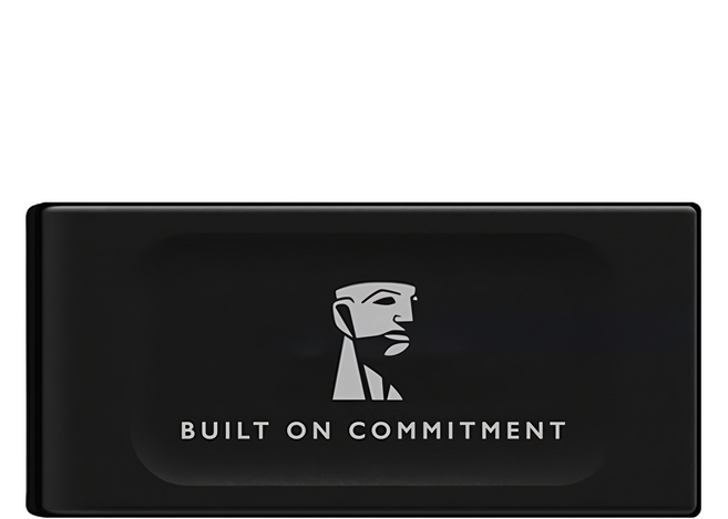 Kingston 金士頓 新版 行動固態硬碟 XS1000, 1TB, 黑色