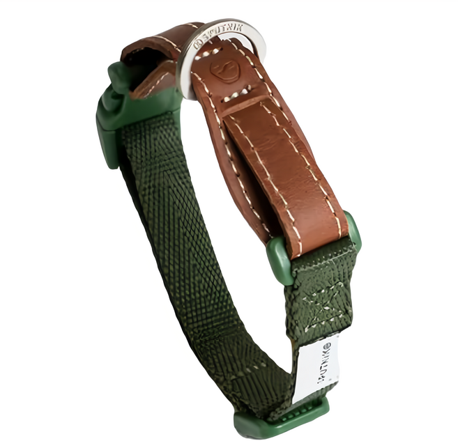 SPUTNIK 斯普尼克 寵物頸圈 高強度扣具 一體成形金屬拉環, 綠色, 1條