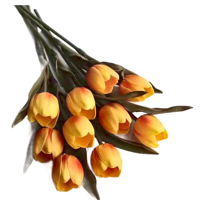 KUIBAO 快豹生活 韓式韓風ins仿真郁金香 黑葉深墨綠桿, 莫蘭迪秋橙色, 1支