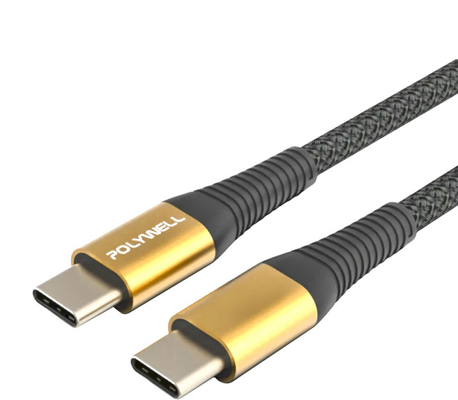 POLYWELL 寶利威爾 USB Type-C 100W 公對公快充線 充電線 編織線 可充筆電 安卓 平板 PW15-W45-A305, 2m, 金色, 1條