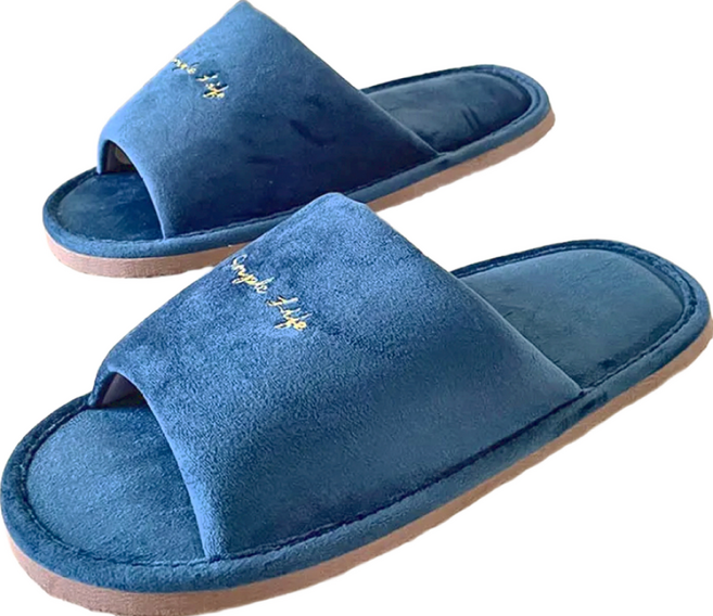 TAIWAN SLIPPER 台灣犀利趴 輕活系列 家居室內拖鞋 北歐舒絨, 深藍色, 1雙