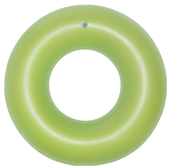 Bestway 69-81520 兒童泳圈 36024, 磨砂綠, 1個