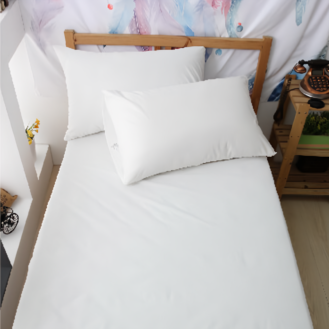 E-ROU 伊柔寢飾 德國魯道夫銀離子抗菌防蟎防水保潔墊 枕頭套 S01 2個