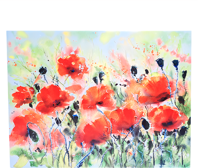 24mama掛畫 單聯式 80 x 60cm 紅色罌粟花 居家裝飾, 無框