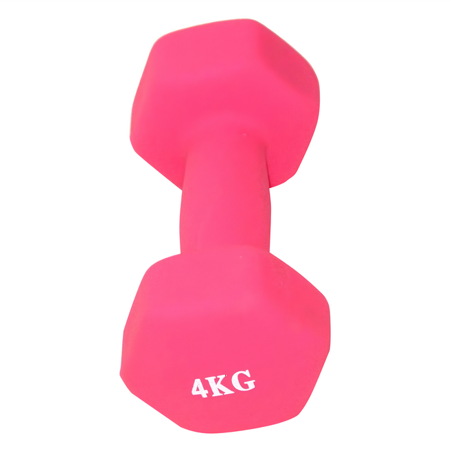 塑身小啞鈴 FB002-4, 4kg, 1個, 單一商品