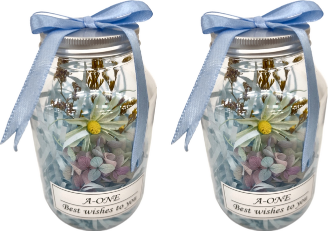 A-ONE 匯旺 永生花許願花瓶 K款 藍雛菊 AE-FB11 2入