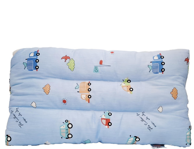 冰絲水洗枕, 藍運輸車